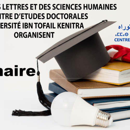 WEBINAIRE FLSH KENITRA : LES NORMES D’ELABORATION D’UN PFE : de l’idée à la Réalisation