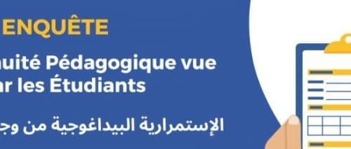 Questionnaire pour évaluer les mécanismes de l’enseignement à distance dans les universités marocaines – استبيان لتقييم آليات التعليم عن بعد بالجامعات