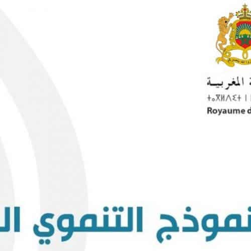 النموذج التنموي الجديد