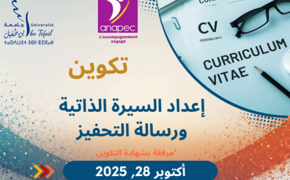 تكوين: إعداد السيرة الذاتية ورسالة التحفيز